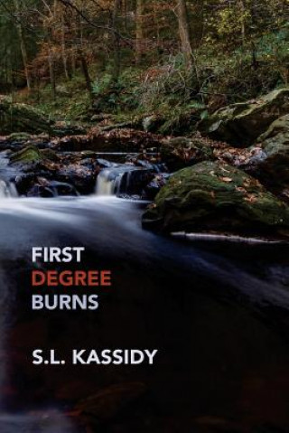 Книга First Degree Burns S L Kassidy