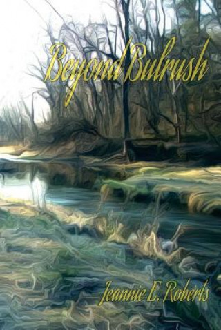 Knjiga Beyond Bulrush Jeannie E Roberts