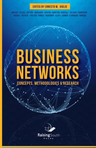 Könyv Business Networks: Concepts, Methodologies and Research Ernesto M Giglio