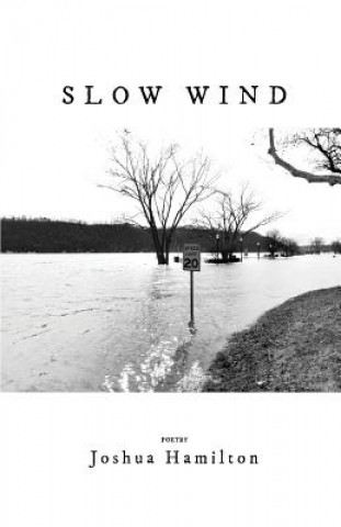 Libro Slow Wind Joshua Hamilton