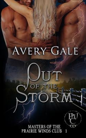 E-kniha Out of the Storm Avery Gale