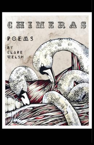 Βιβλίο Chimeras Clare Welsh
