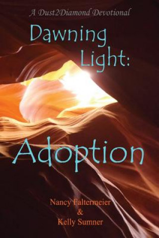 Boek Dawning Light: Adoption Nancy Faltermeier