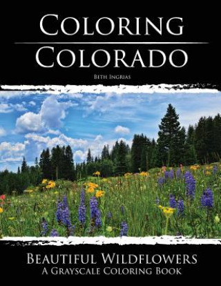 Kniha Coloring Colorado: Beautiful Wildflowers: A Grayscale Coloring Book Beth Ingrias