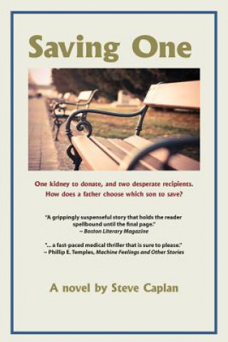 Book Saving One Steve Caplan