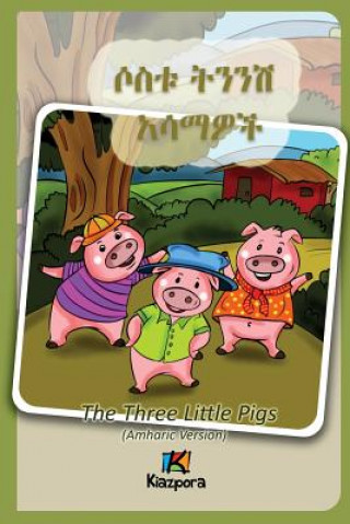 Kniha Sostu Tininish Asemawe'Ch - Amharic Children Book 