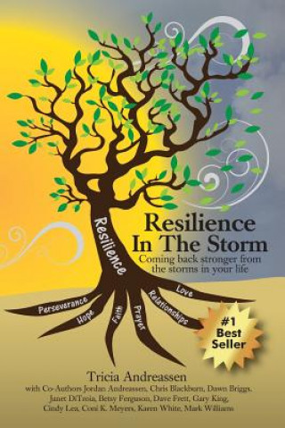 Buch Resilience In The Storm Tricia Andreassen