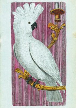 Knjiga Carnet Ligné Kakato?s, Dessin 18e Si?cle Francois-Nicolas Martinet