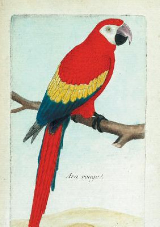 Knjiga Carnet Ligné Ara Rouge, Dessin 18e Si?cle Francois-Nicolas Martinet