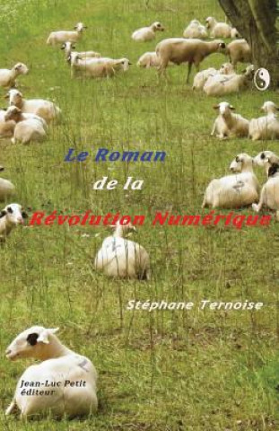 Kniha Le roman de la révolution numérique: Hors Goncourt 2013 Stephane Ternoise