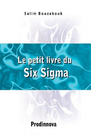 Kniha Le Petit Livre Du Six Sigma Salim Bouzekouk