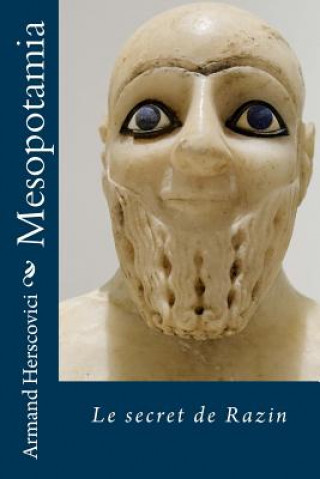 Книга Mesopotamia: Le secret de Razin Armand Herscovici