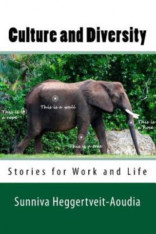 Knjiga Culture and Diversity: Stories for Work and Life MS Sunniva Heggertveit-Aoudia