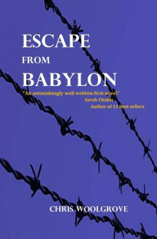 Книга Escape from Babylon Chris Woolgrove