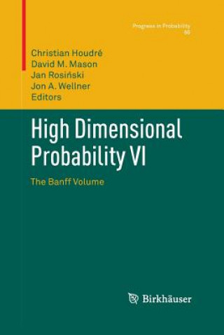 Kniha High Dimensional Probability VI Christian Houdre