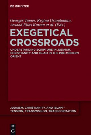 Knjiga Exegetical Crossroads Georges Tamer