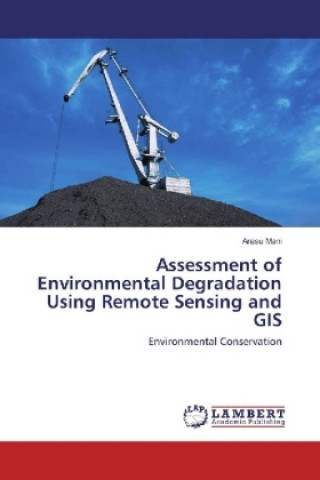 Knjiga Assessment of Environmental Degradation Using Remote Sensing and GIS Arasu Mani