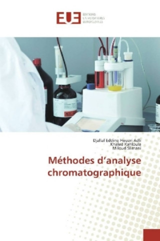 Kniha Méthodes d'analyse chromatographique Djallal Eddine Houari Adli