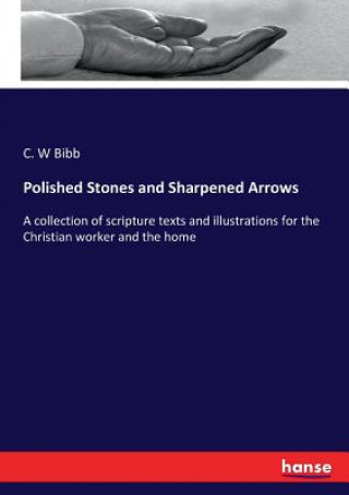 Könyv Polished Stones and Sharpened Arrows Bibb C. W Bibb