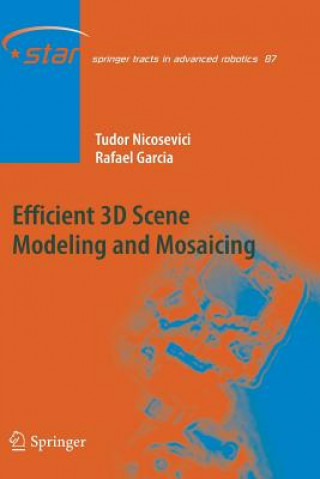 Kniha Efficient 3D Scene Modeling and Mosaicing Tudor Nicosevici