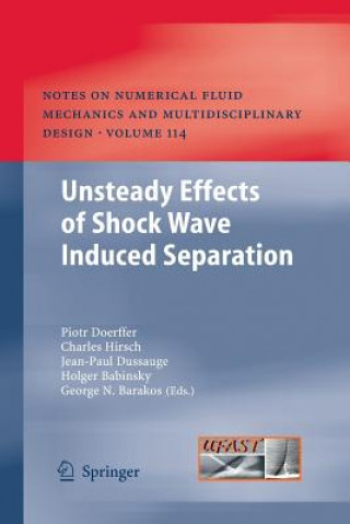 Kniha Unsteady Effects of Shock Wave induced Separation Piotr Doerffer