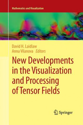 Boek New Developments in the Visualization and Processing of Tensor Fields David H Laidlaw