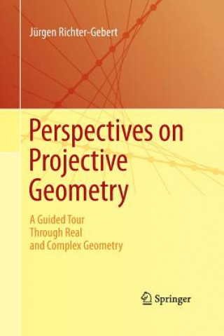 Könyv Perspectives on Projective Geometry Jurgen Richter-Gebert