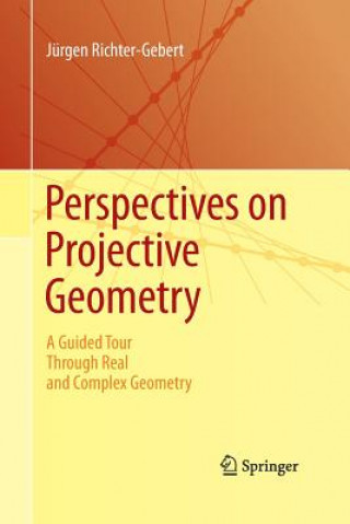 Książka Perspectives on Projective Geometry Jurgen Richter-Gebert