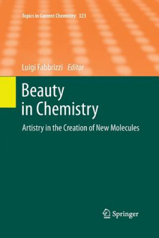 Kniha Beauty in Chemistry Luigi Fabbrizzi