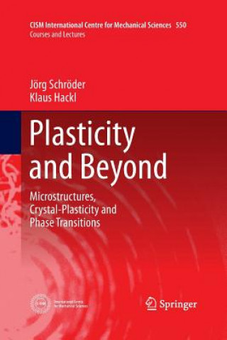 Kniha Plasticity and Beyond Jorg Schroder