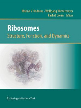 Książka Ribosomes  Structure, Function, and Dynamics Marina V Rodnina