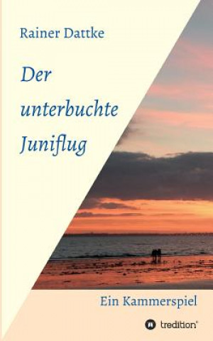 Boek Der unterbuchte Juniflug Rainer Dattke