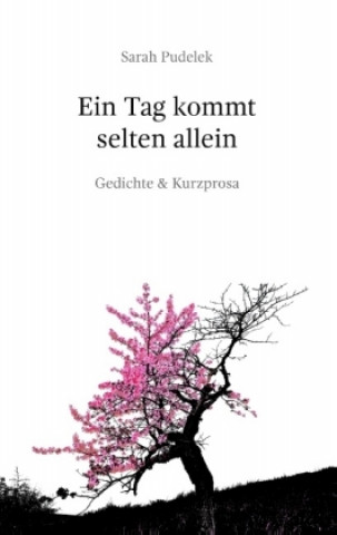 Knjiga Ein Tag kommt selten allein Sarah Pudelek