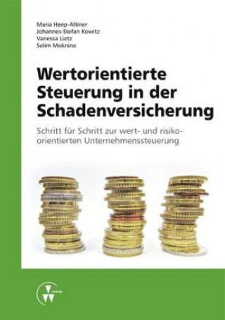 Kniha Wertorientierte Steuerung in der Schadenversicherung Maria Heep-Altiner