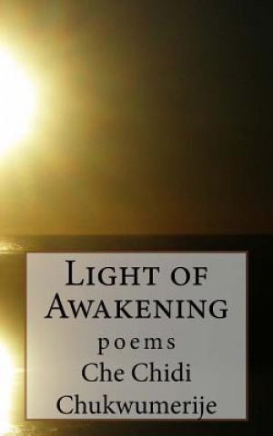 Kniha Light of Awakening Che Chidi Chukwumerije