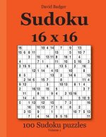Könyv Sudoku 16 x 16: 100 Sudoku puzzles Volume 1 David Badger