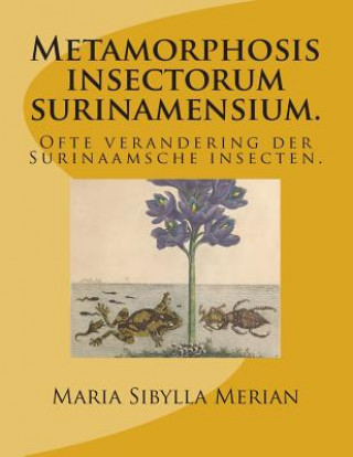 Könyv Metamorphosis insectorum surinamensium.: Ofte verandering der Surinaamsche insecten. Maria Sibylla Merian
