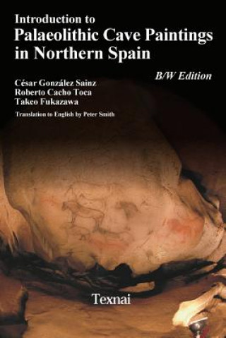 Kniha Introduction to Plaeolithic Cave Paintings in Northern Spain Cesar Gonzales Sainz