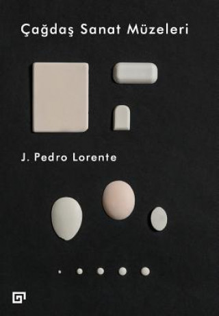 Kniha Cagdas Sanat Muzeleri Pedro Lorente