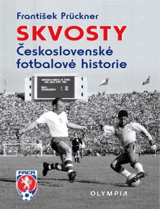 Könyv Skvosty Československé reprezentace František Prückner