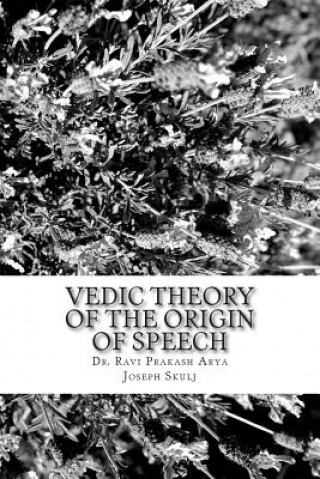 Kniha Vedic Theory of The Origin of Speech Dr Ravi Prakash Arya