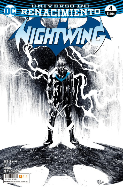 Knjiga Nightwing 11/4 Seeley