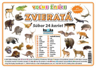 Kniha Súbor 24 kariet  - zvieratá (voľne žijúce) Petr Kupka