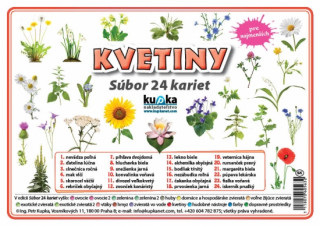 Knjiga Súbor 24 kariet - kvetiny Petr Kupka