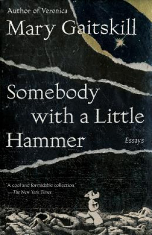 Könyv Somebody with a Little Hammer Mary Gaitskill