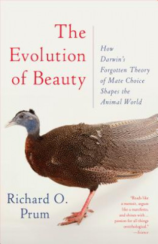 Könyv Evolution of Beauty Richard O. Prum