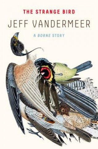 Carte Strange Bird Jeff VanderMeer