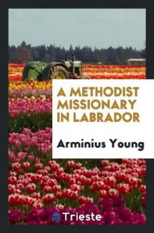 Книга Methodist Missionary in Labrador Arminius Young