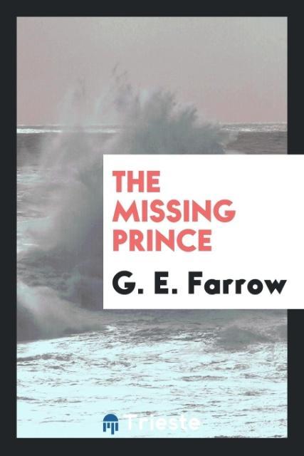 Boek Missing Prince G. E. Farrow