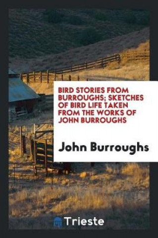 Book Bird Stories from Burroughs; Sketches of Bird Life Taken from the Works of John Burroughs John Burroughs